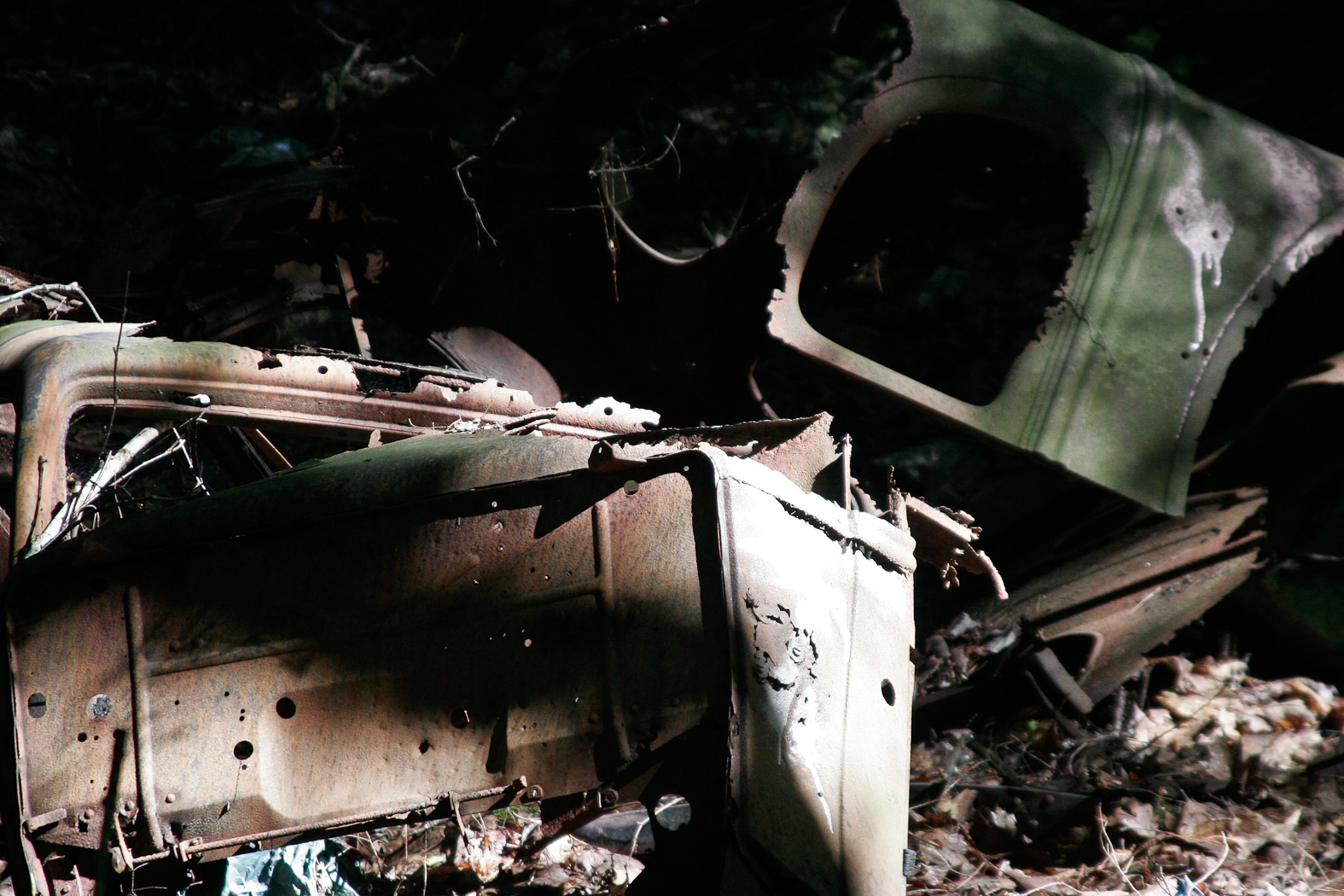 slideshow image