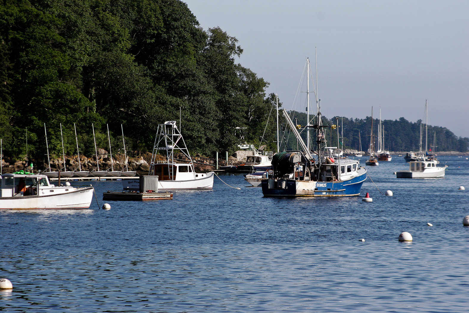slideshow image