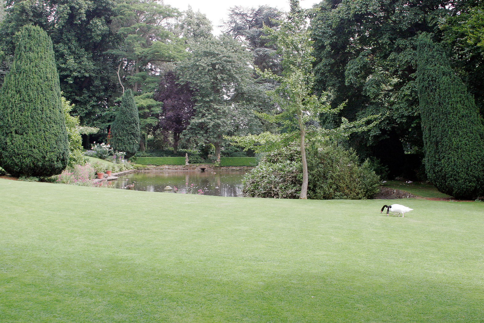 slideshow image