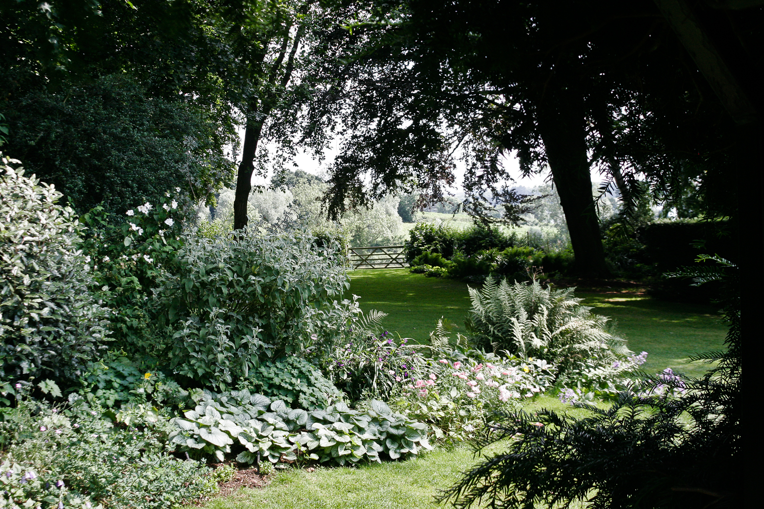 slideshow image