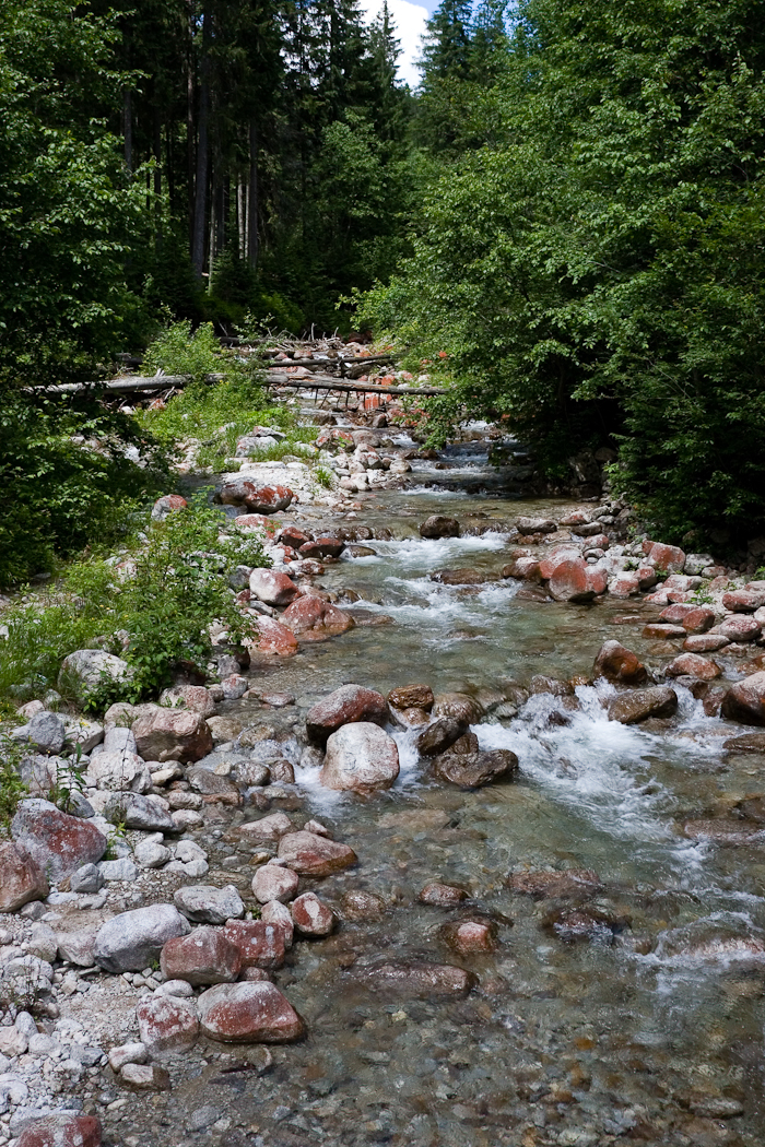 slideshow image