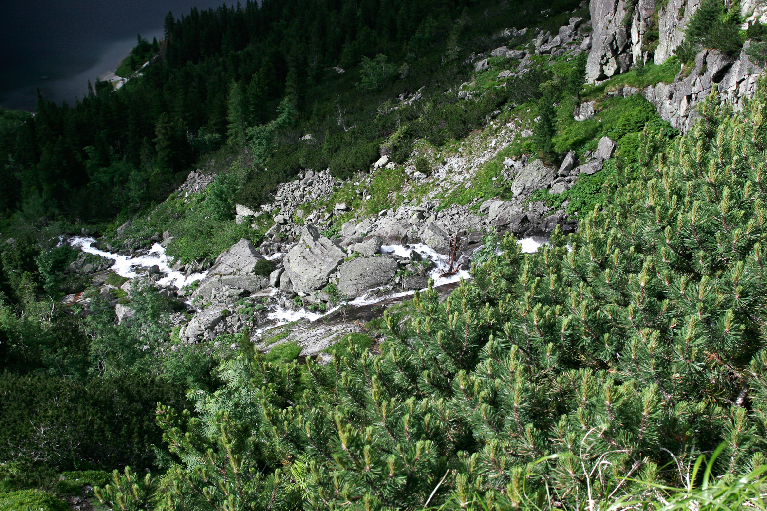 slideshow image