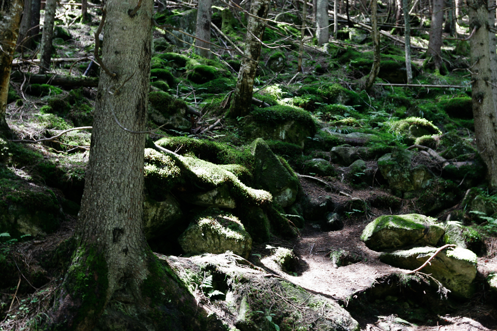 slideshow image