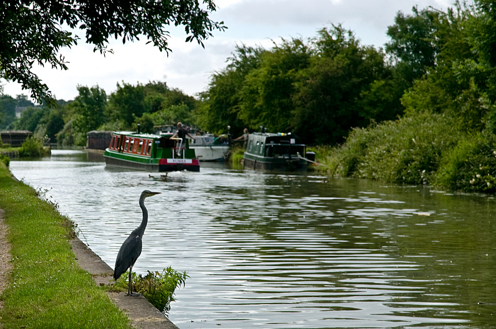 slideshow image