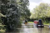 Mayblossoms  along the canal