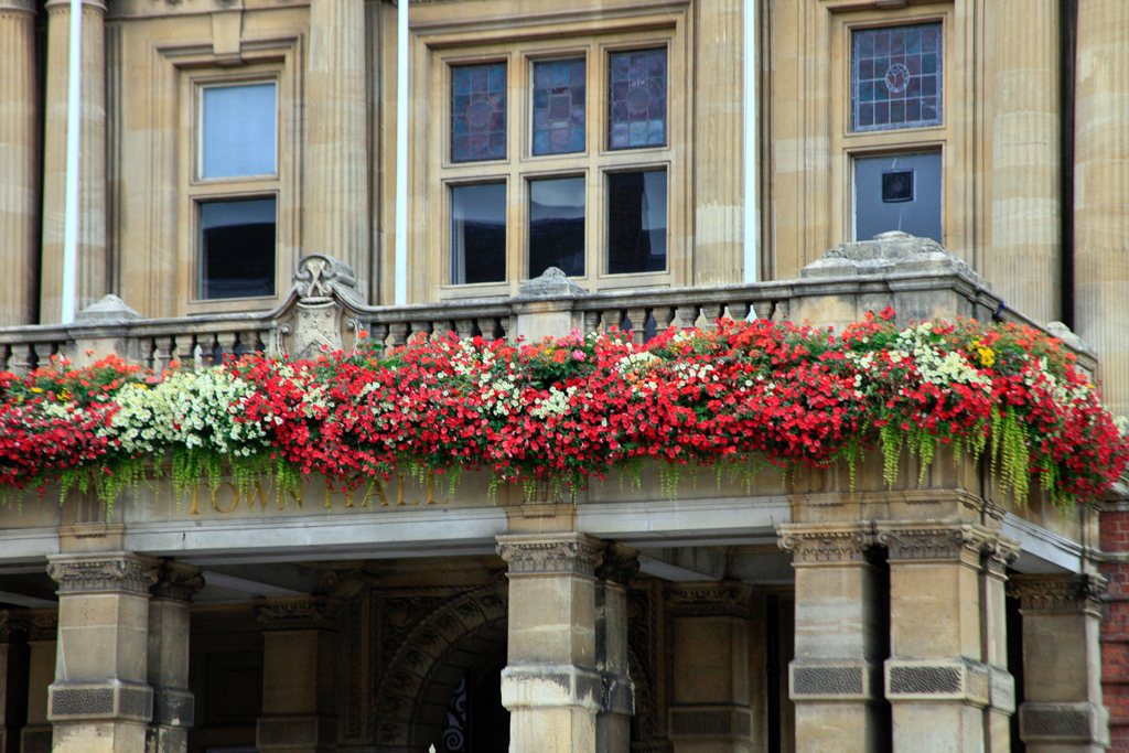 slideshow image