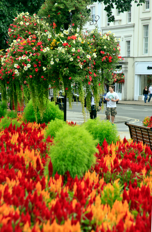 slideshow image