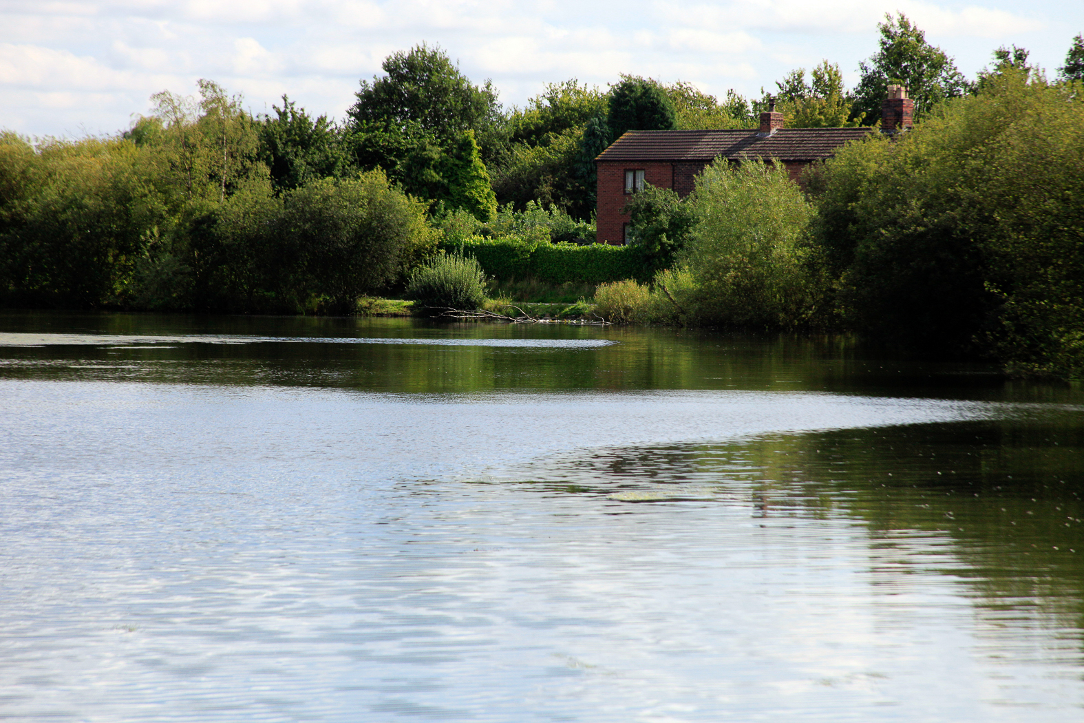 slideshow image
