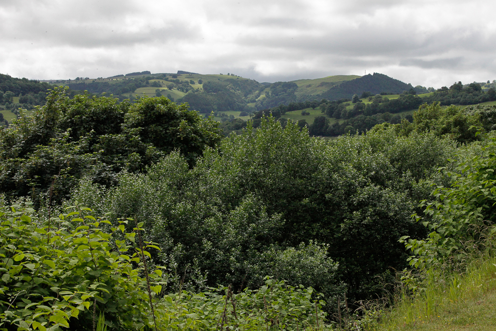 slideshow image