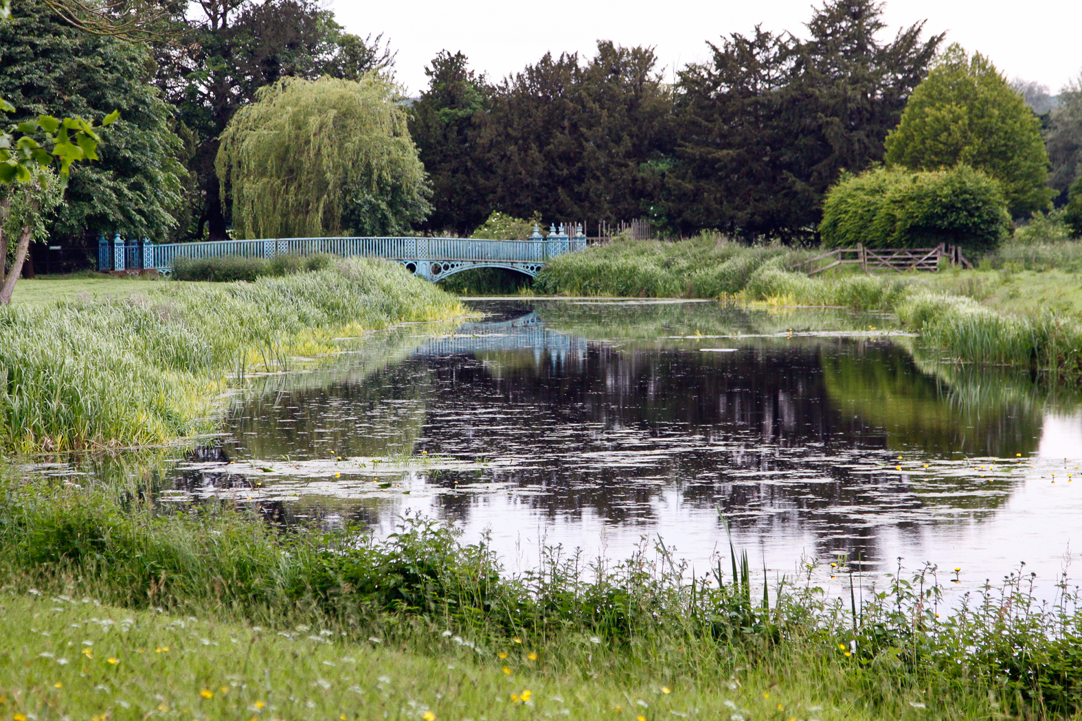 slideshow image