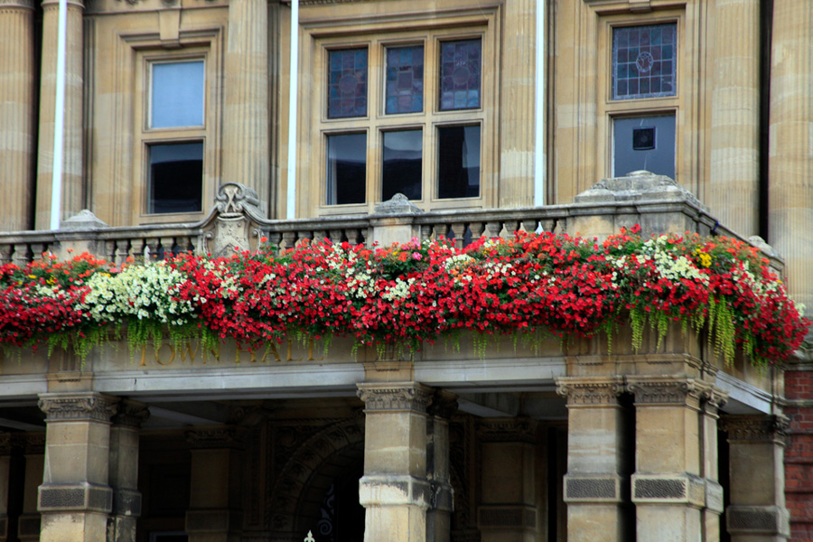 slideshow image