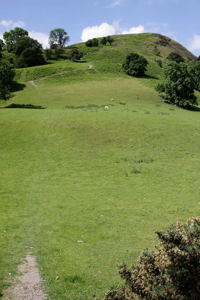 slideshow image