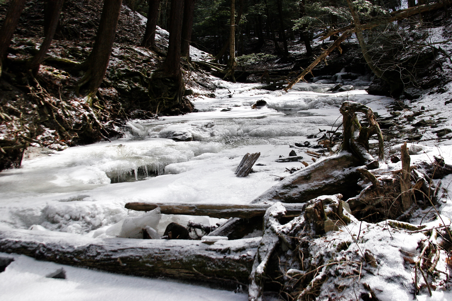 slideshow image