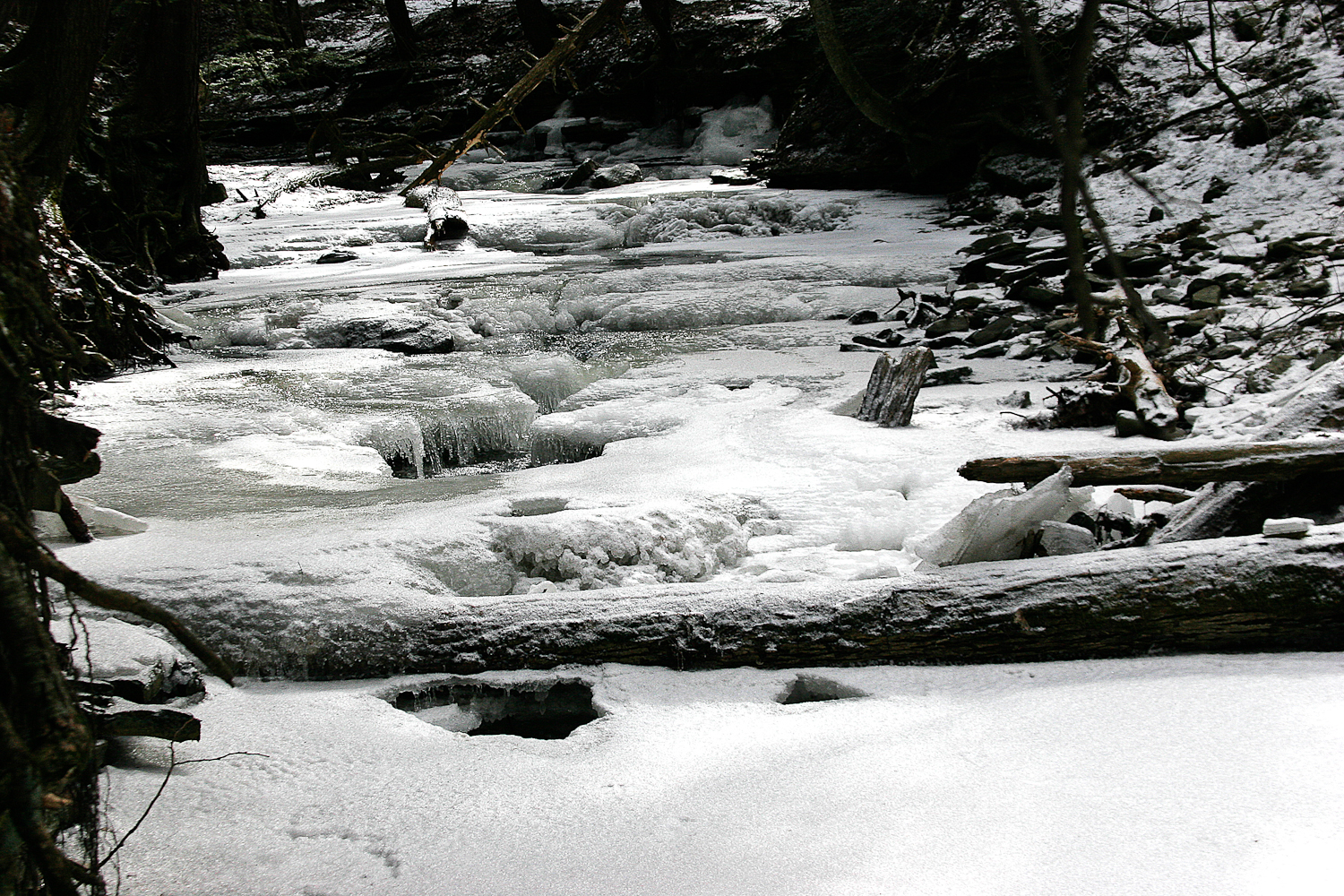 slideshow image