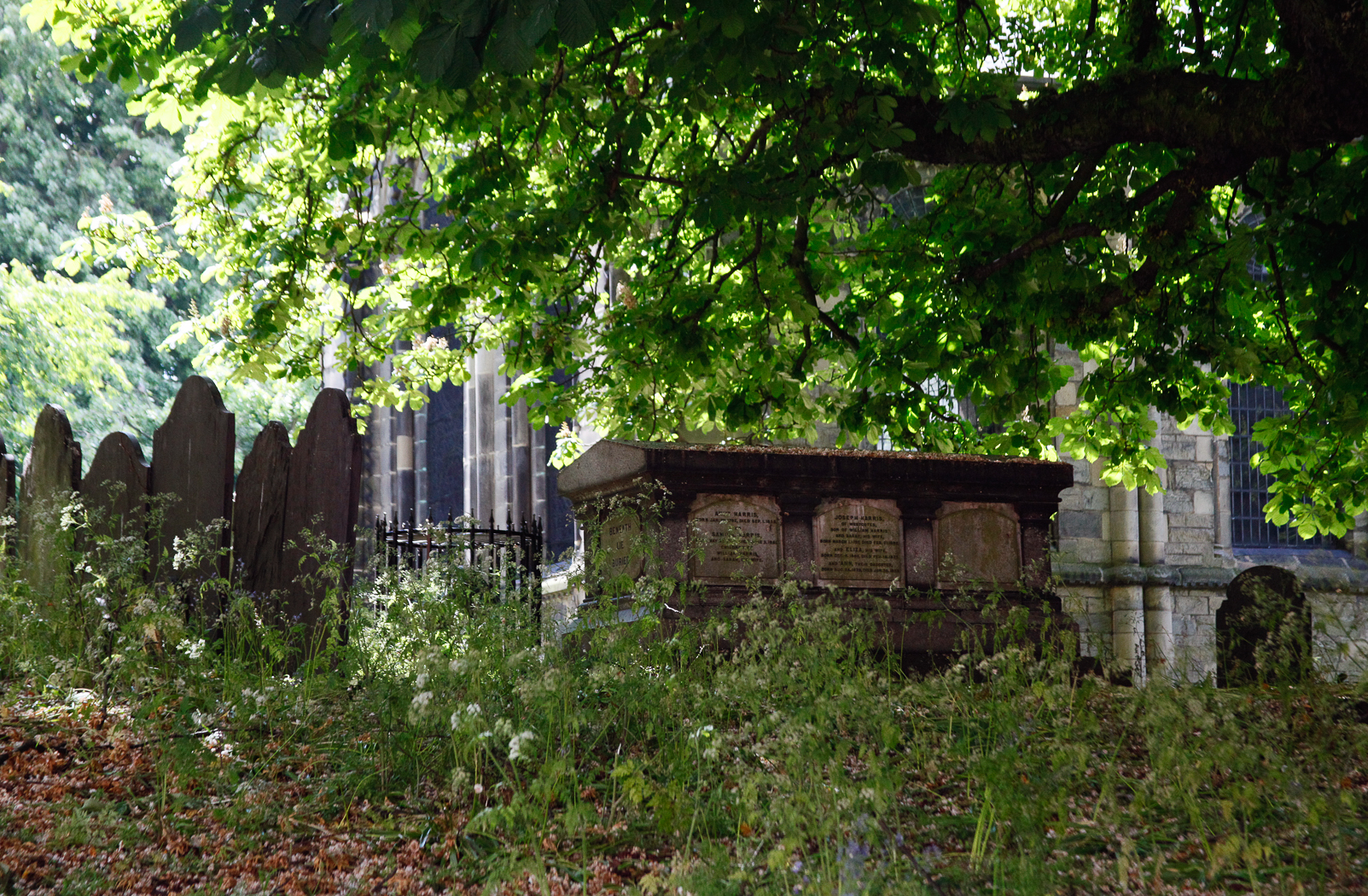 slideshow image