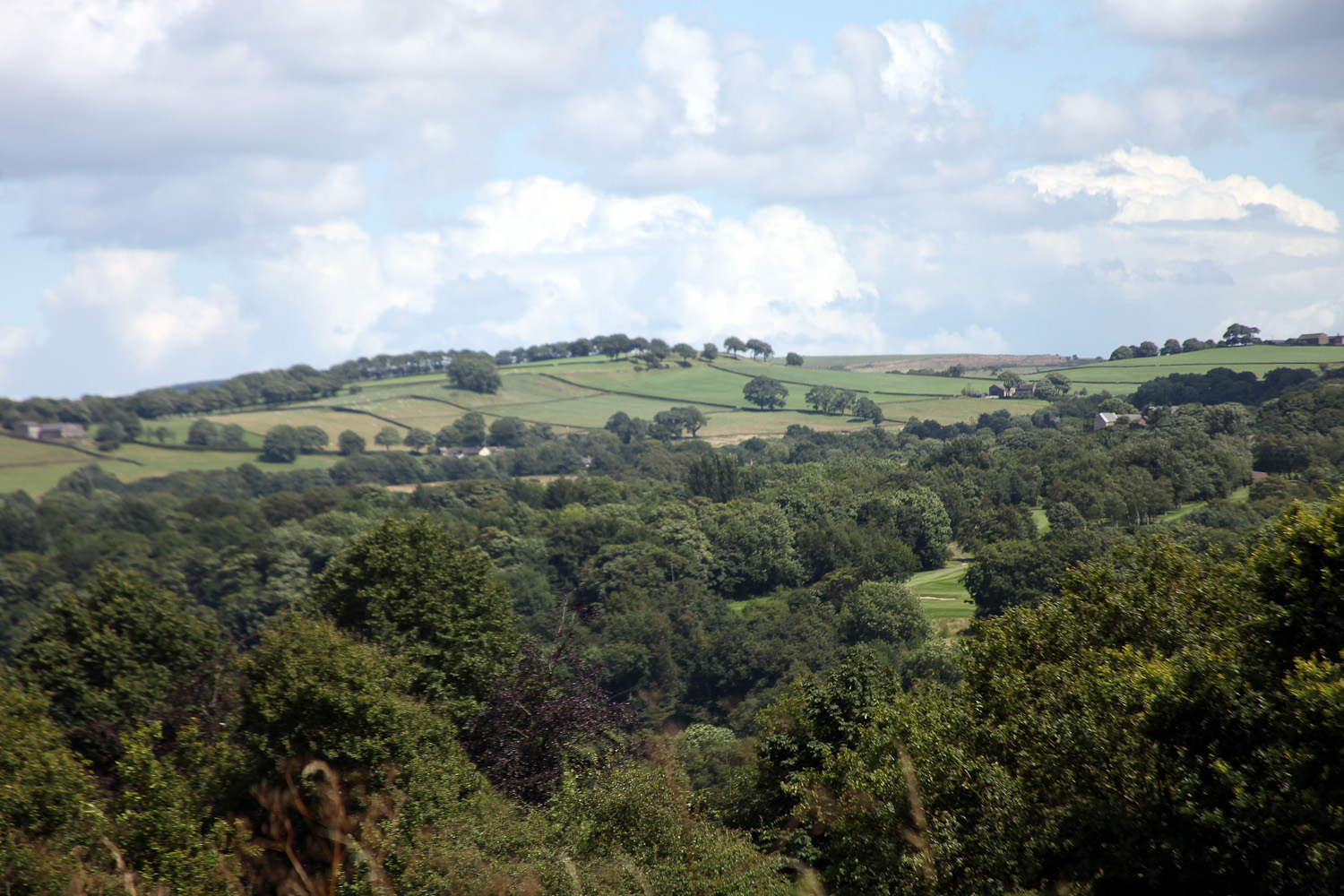 slideshow image