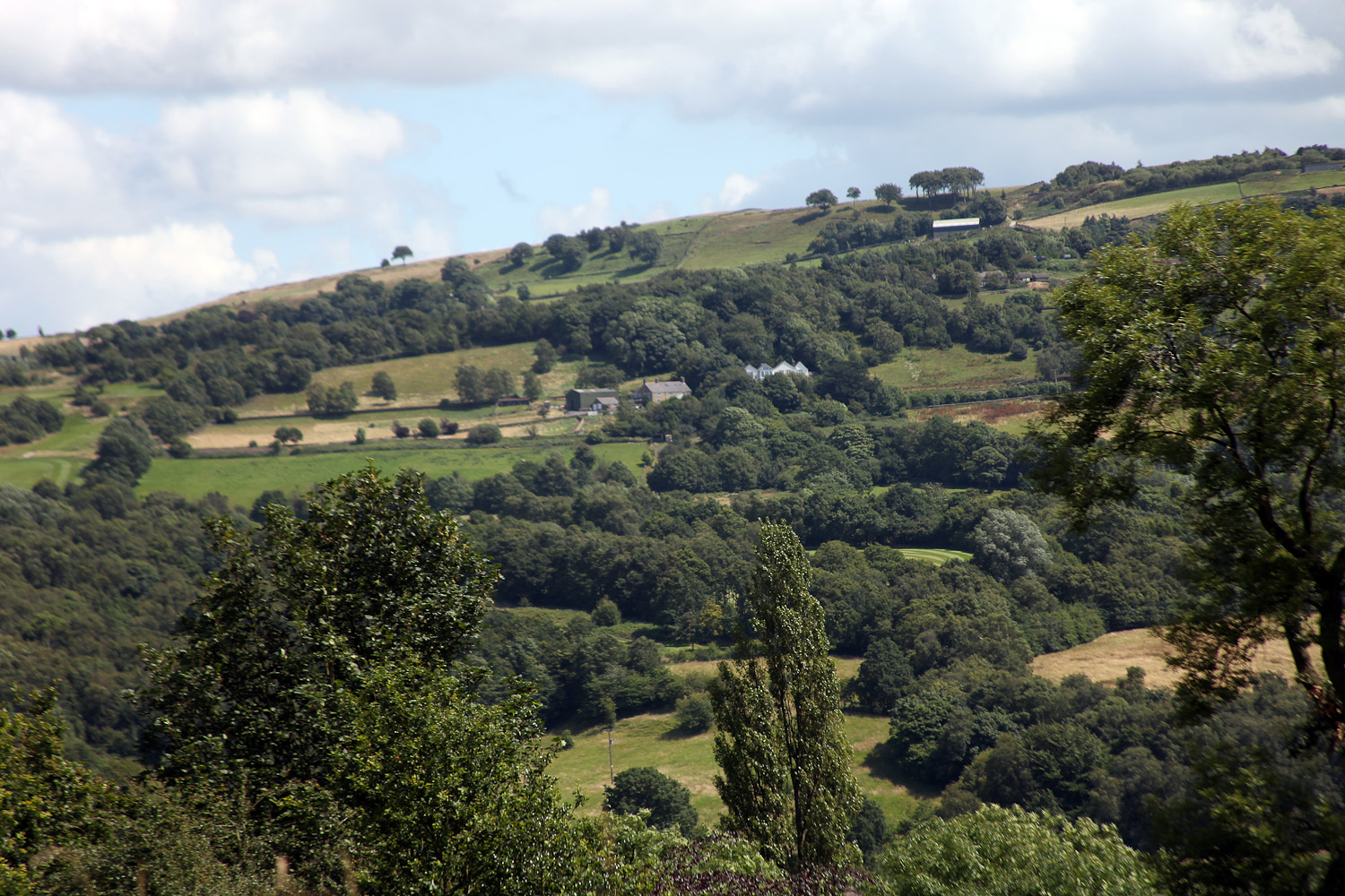 slideshow image