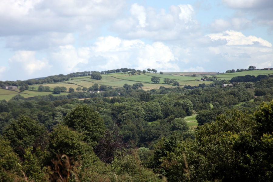 slideshow image