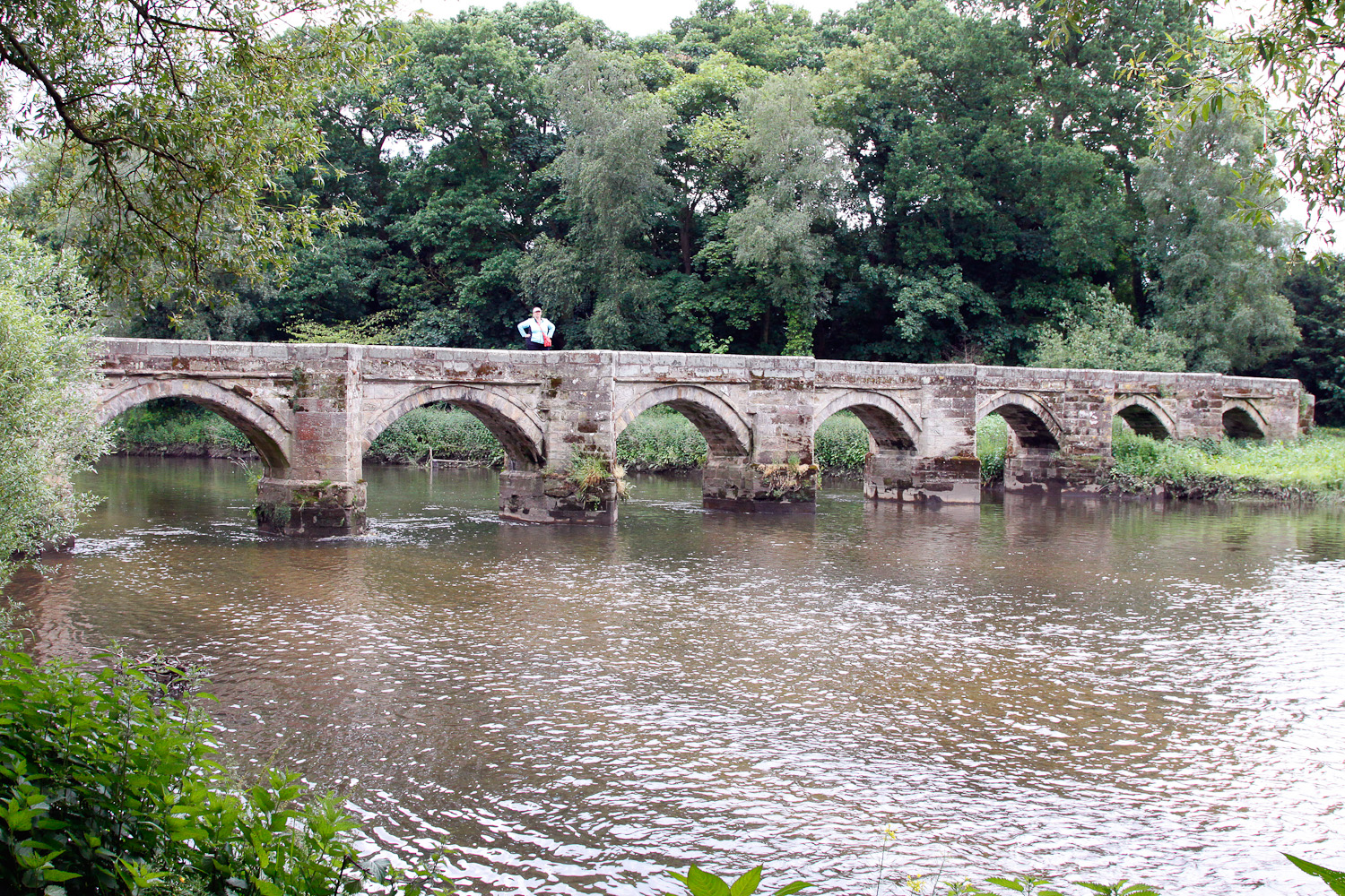 slideshow image