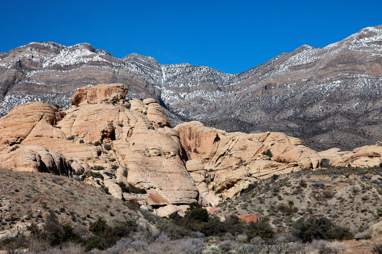 slideshow image