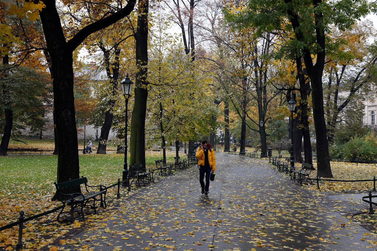 slideshow image