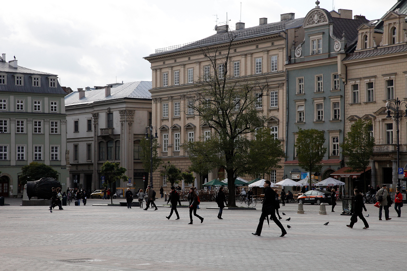 slideshow image