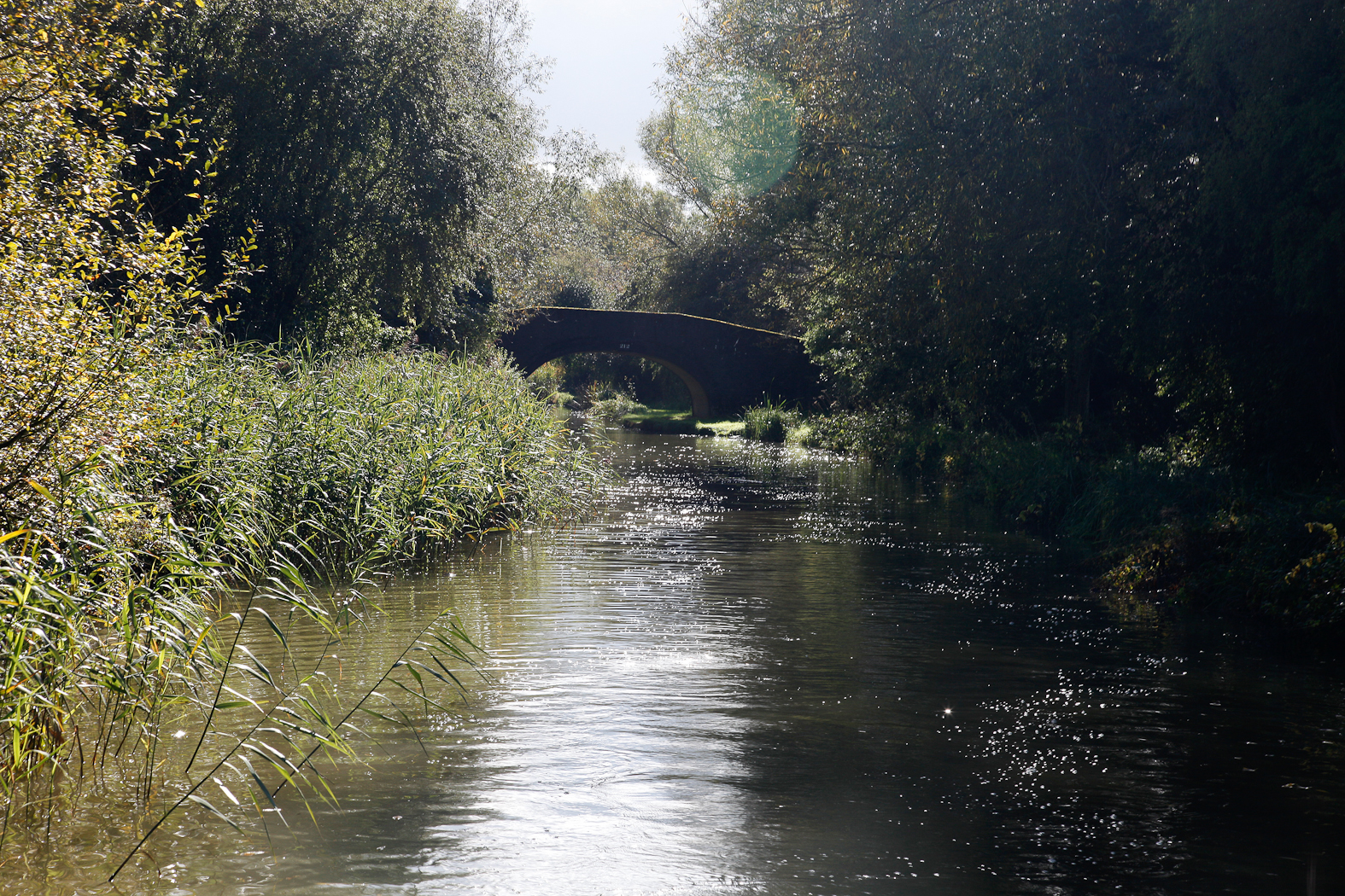 slideshow image
