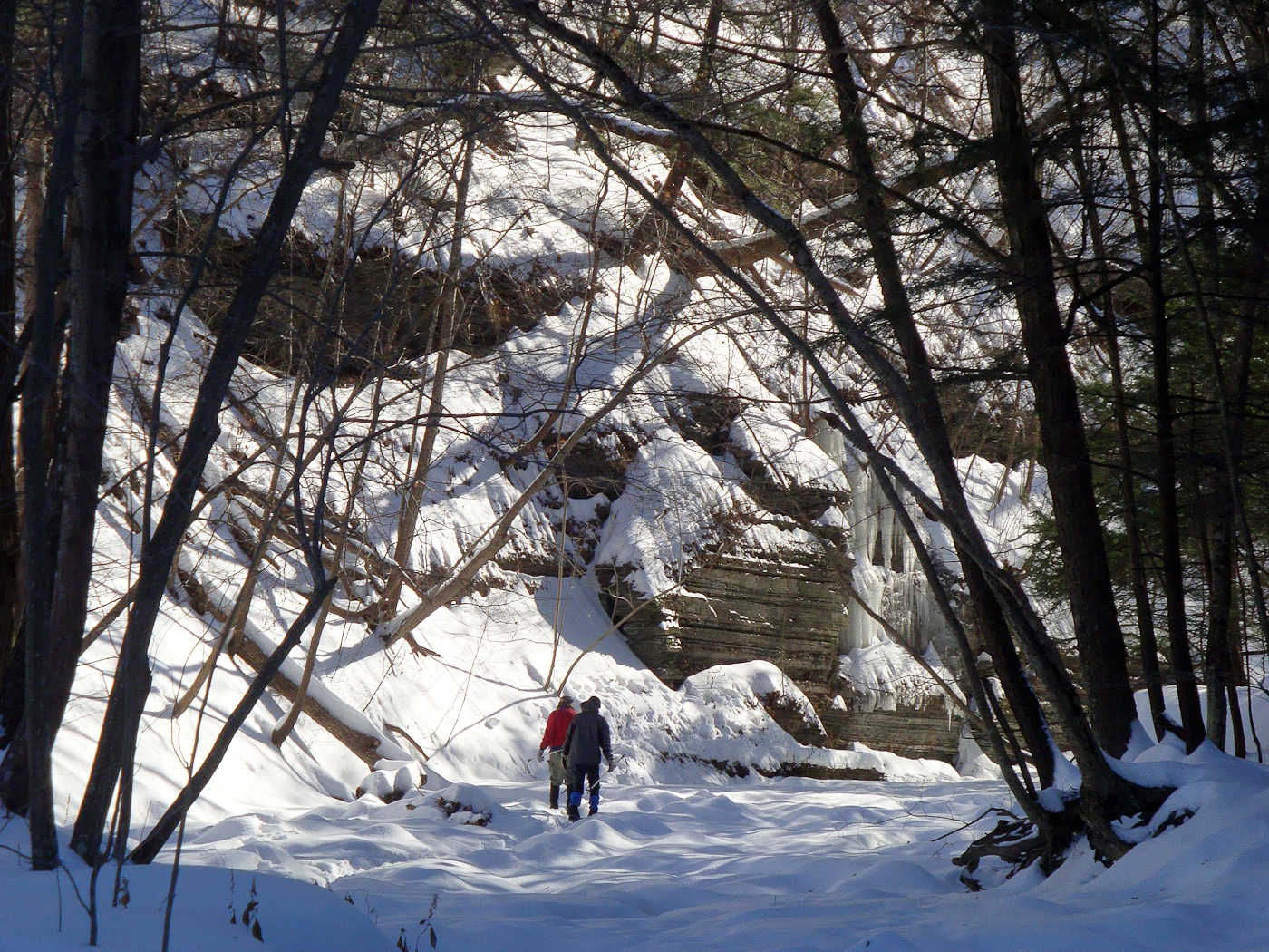 slideshow image