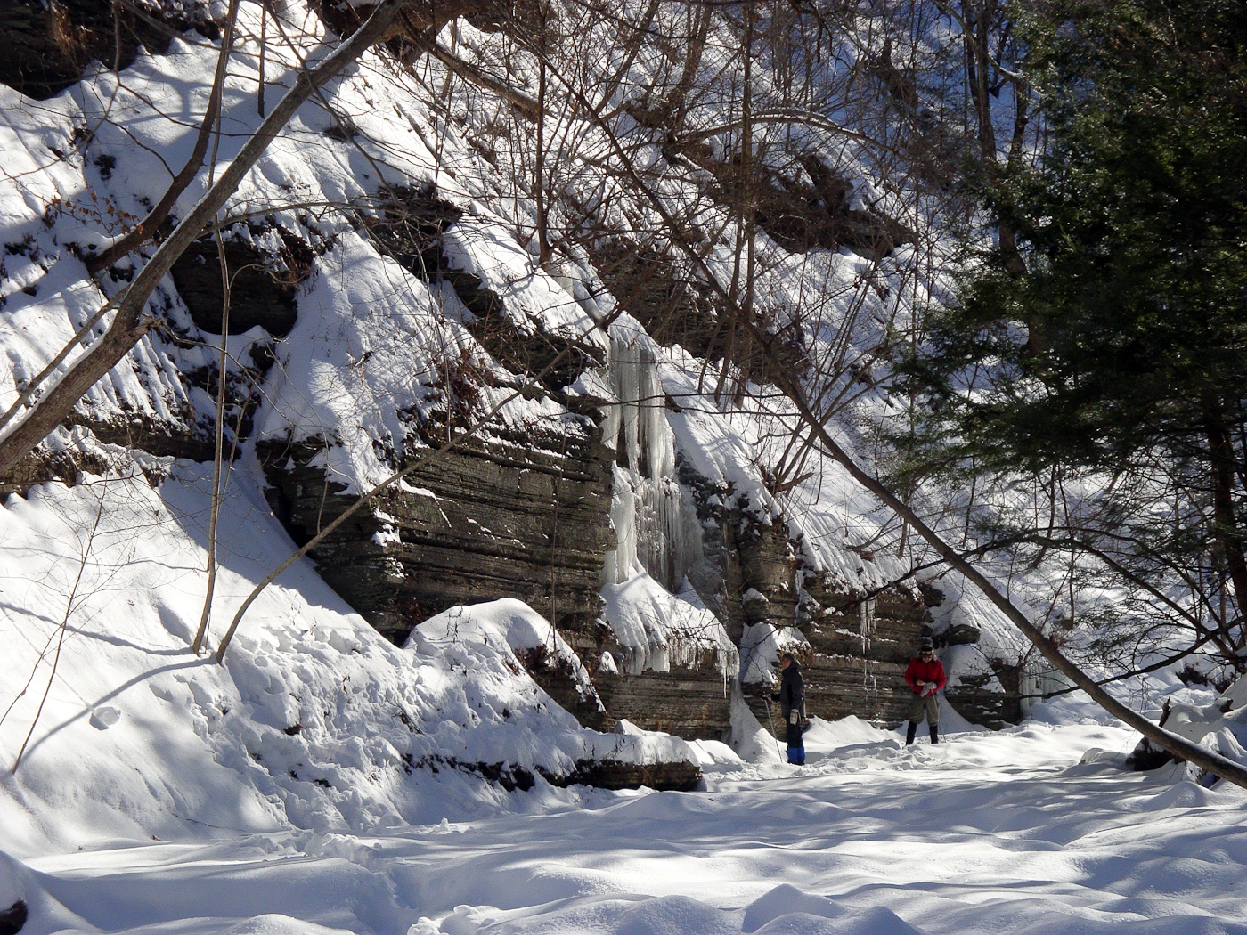 slideshow image
