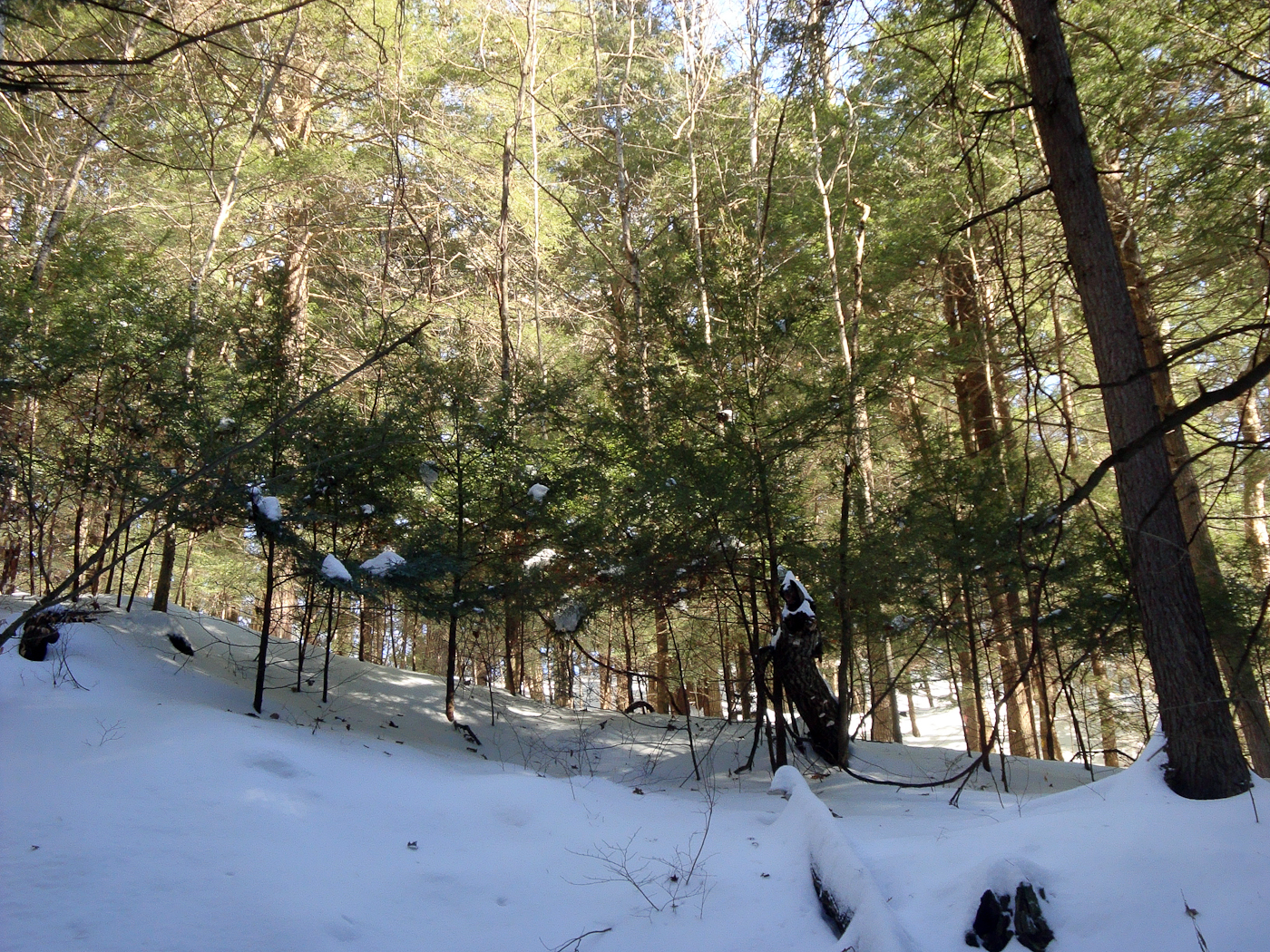 slideshow image