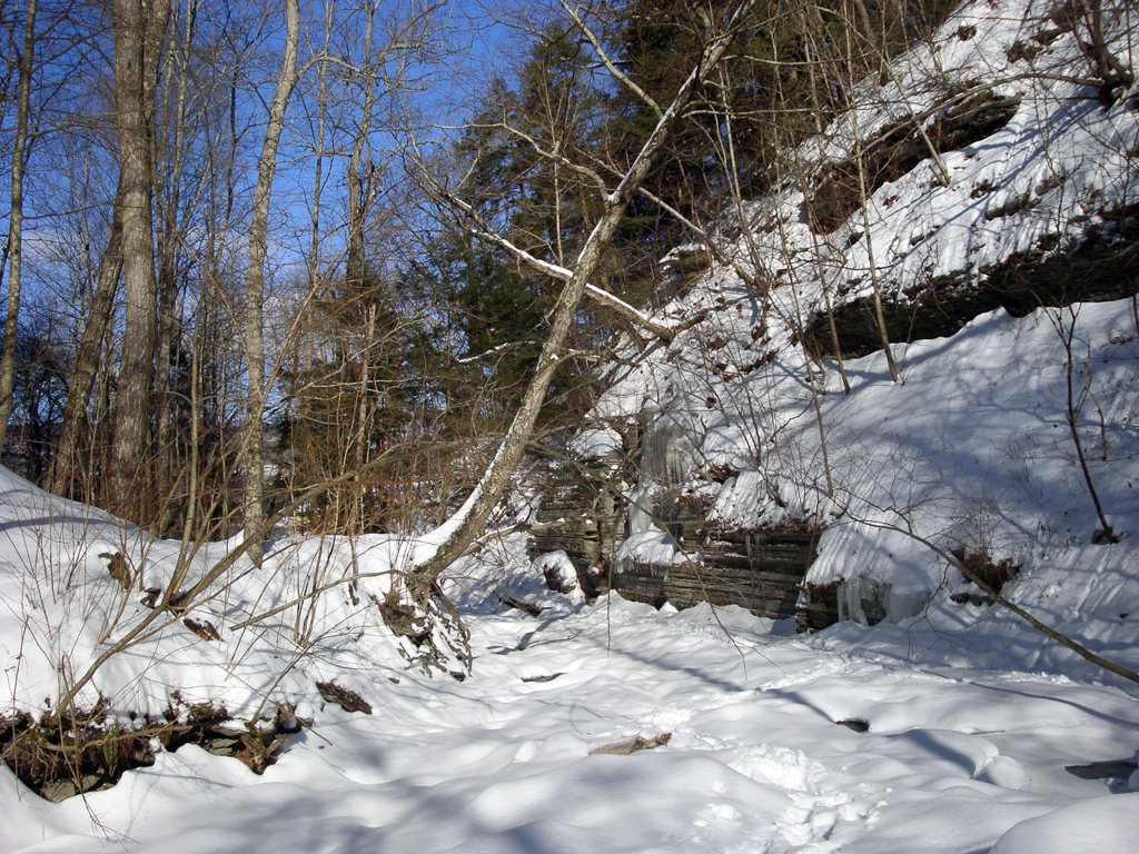 slideshow image