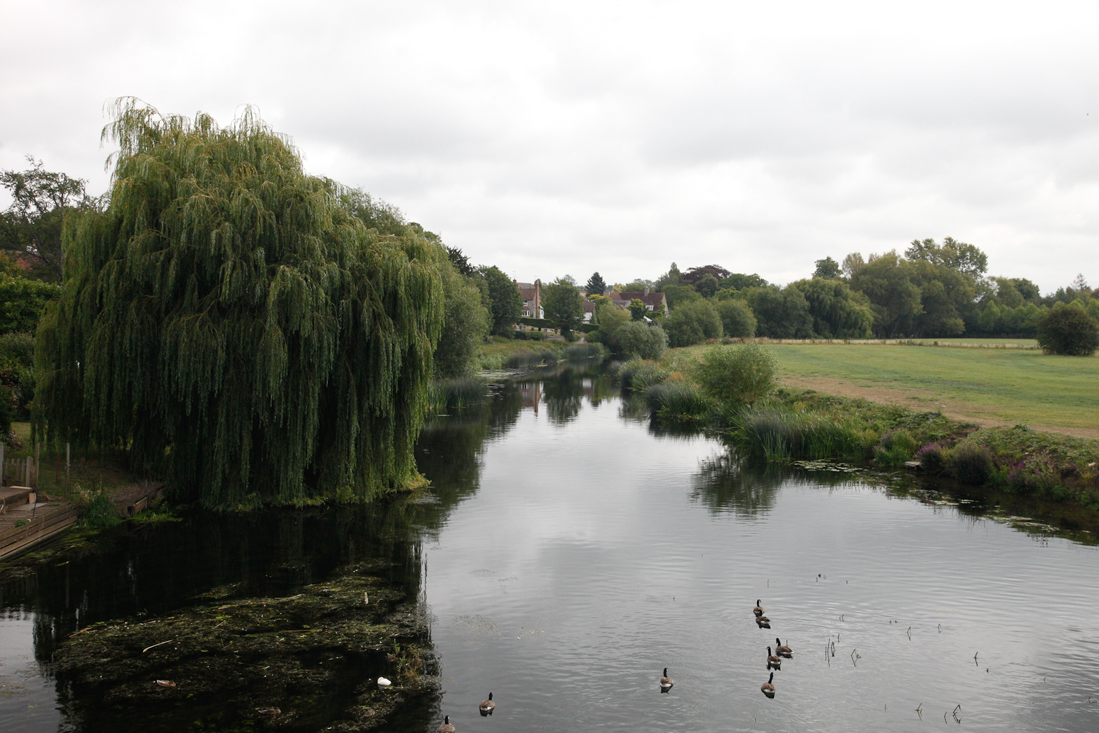 slideshow image