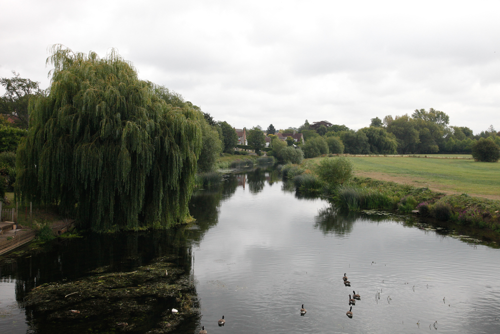 slideshow image