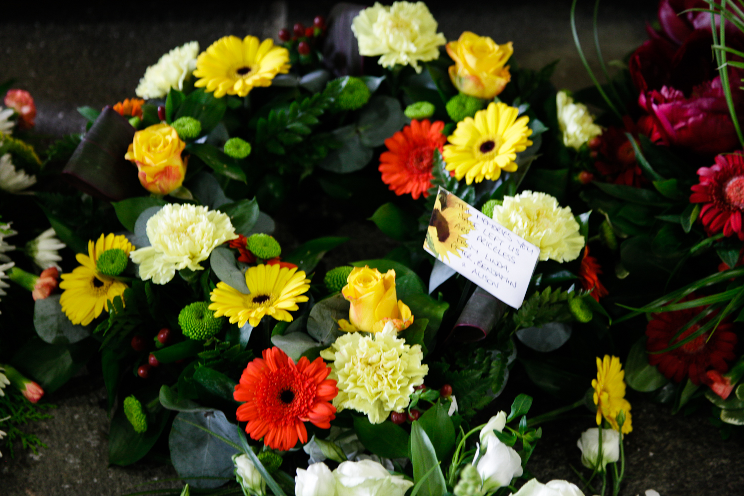 slideshow image