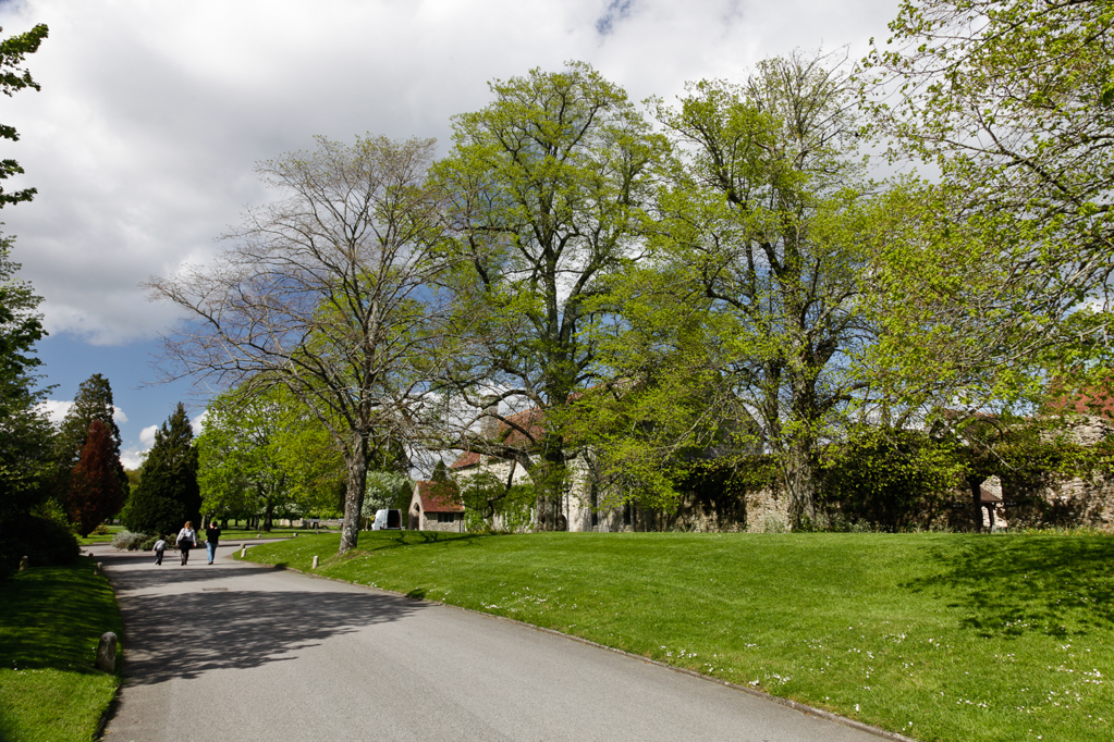 slideshow image