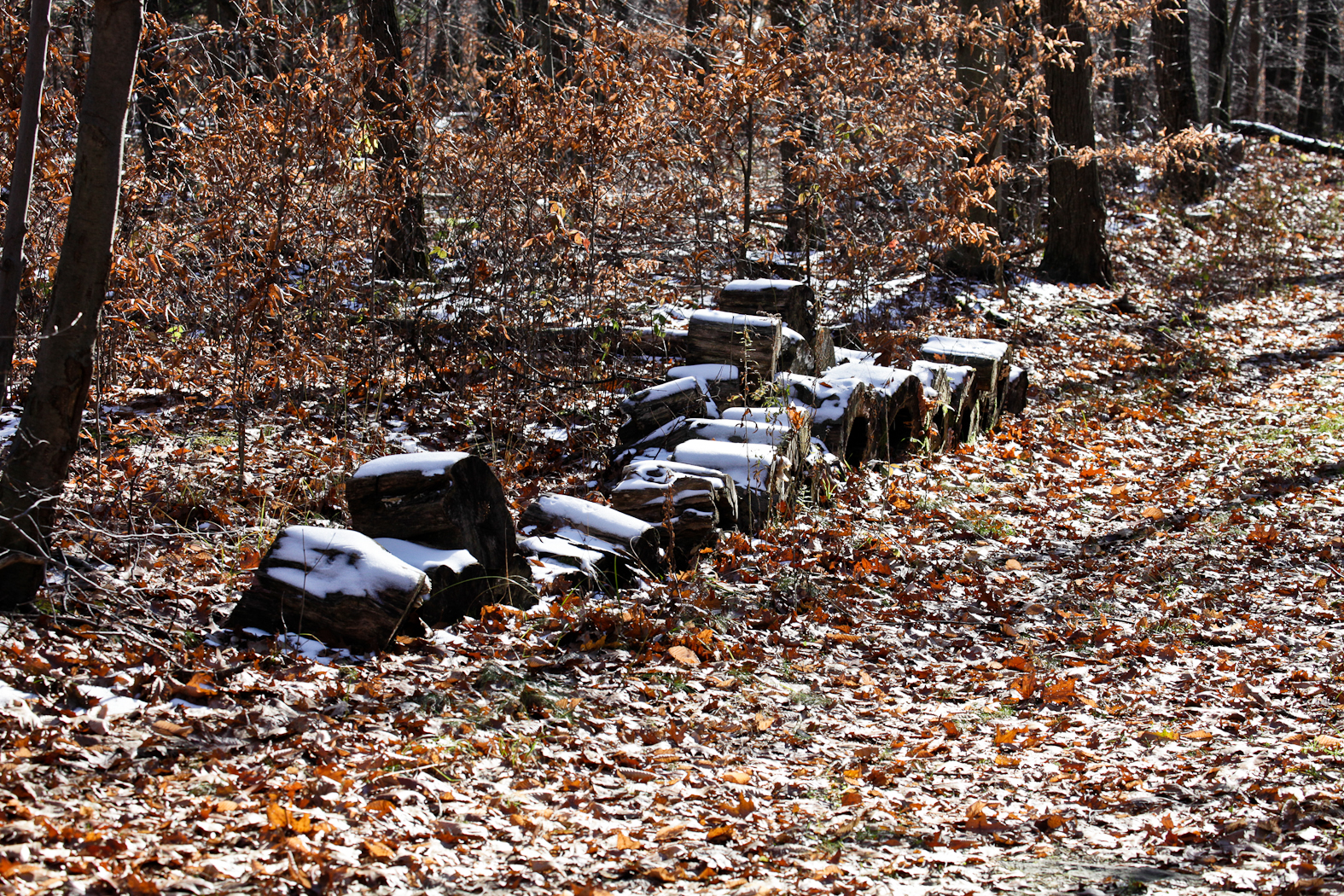 slideshow image