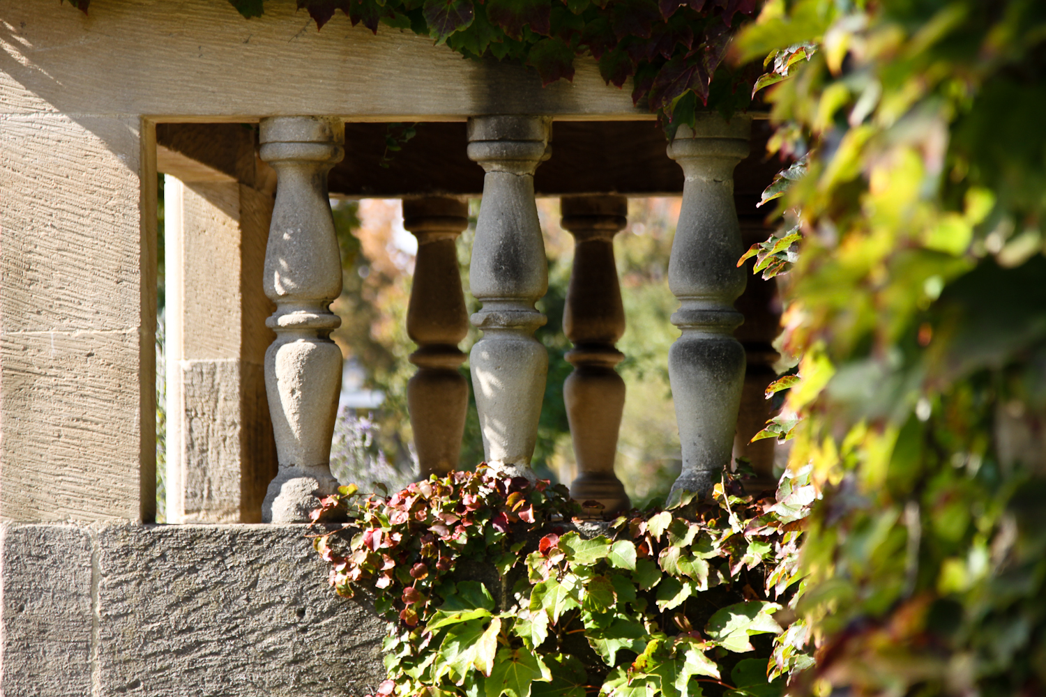 slideshow image