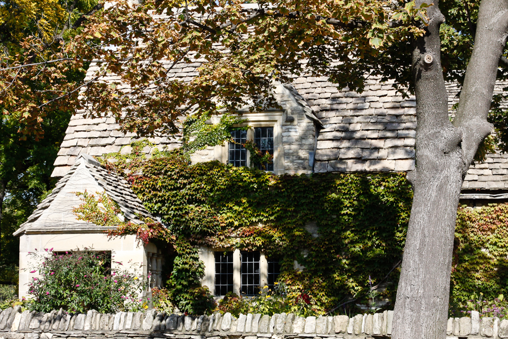 slideshow image