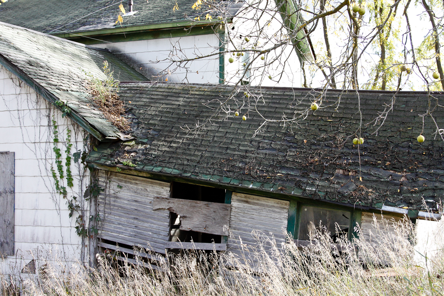 slideshow image