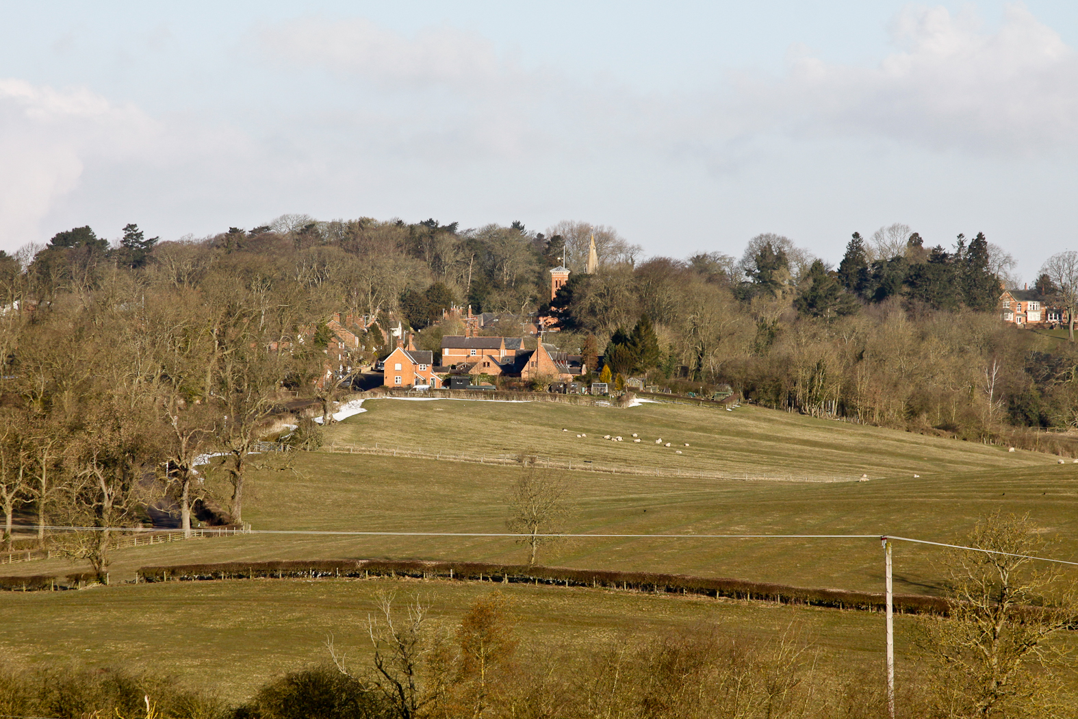 slideshow image