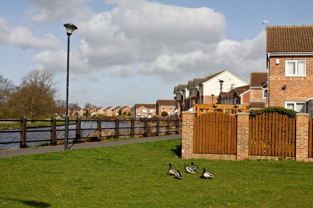 slideshow image