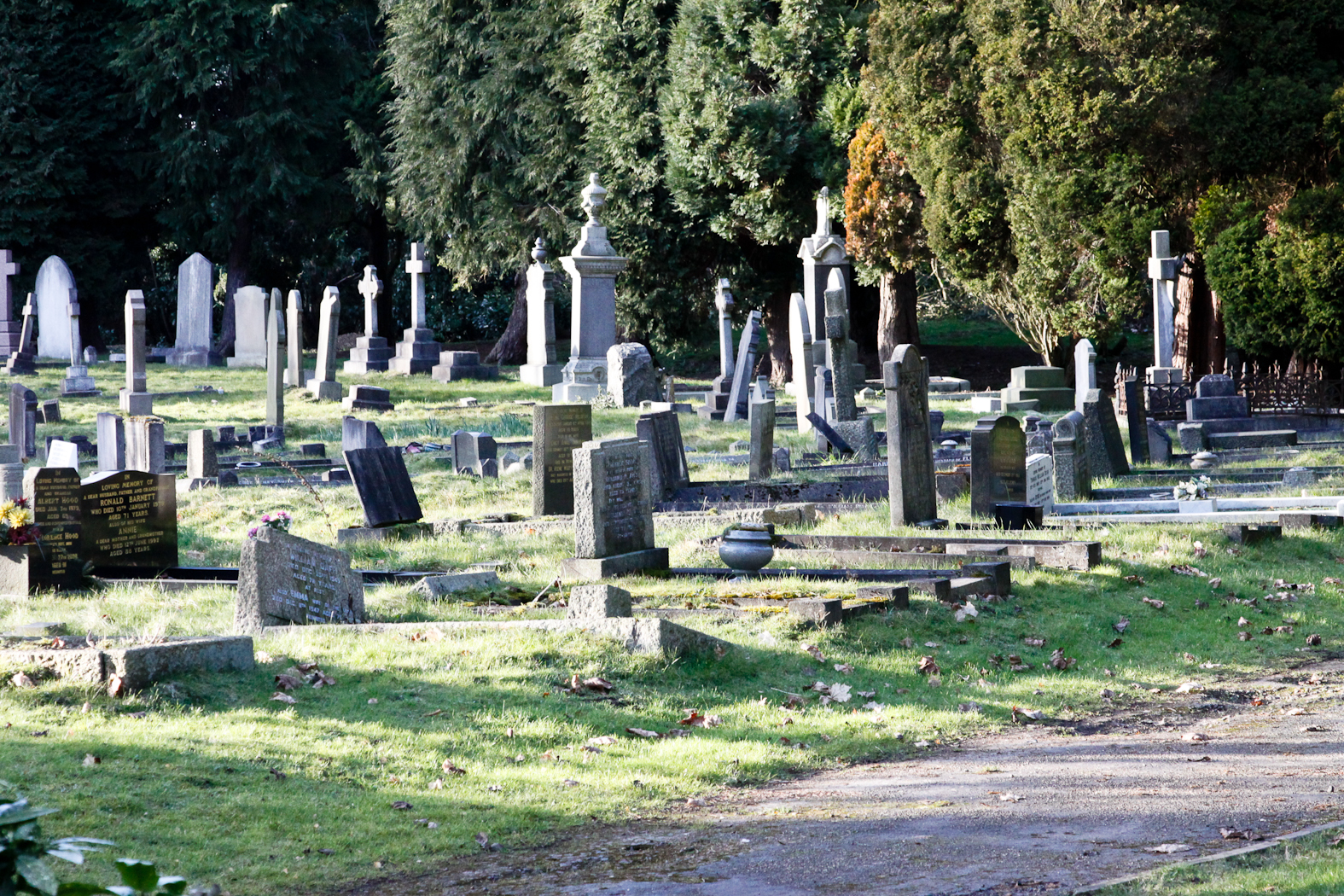 slideshow image