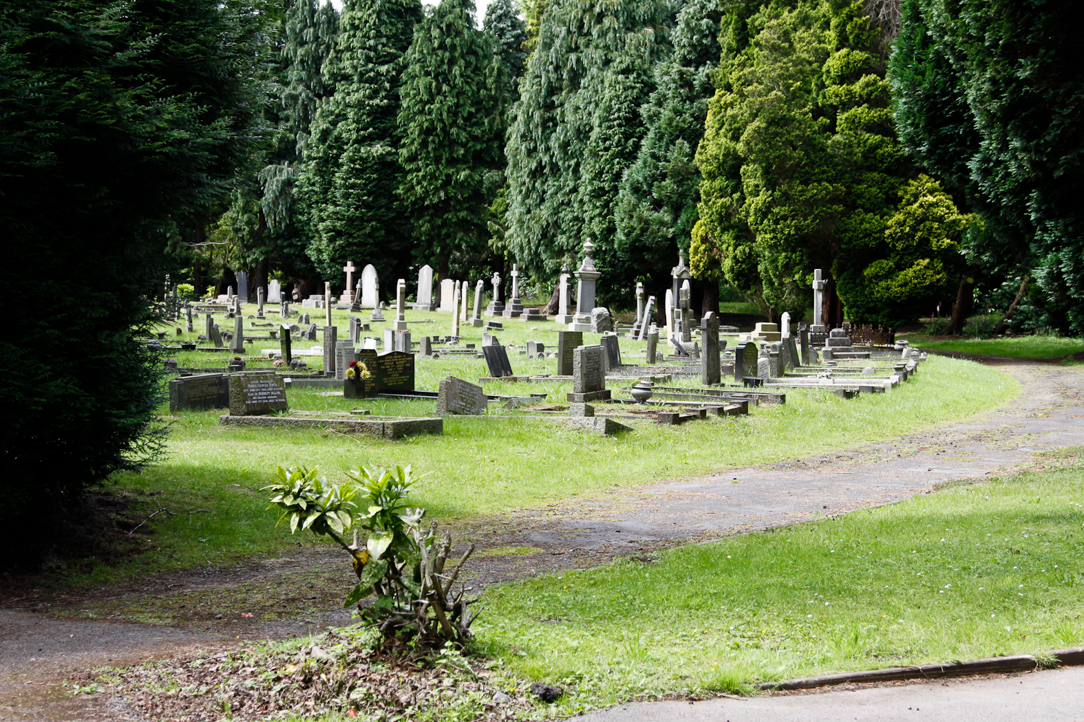 slideshow image