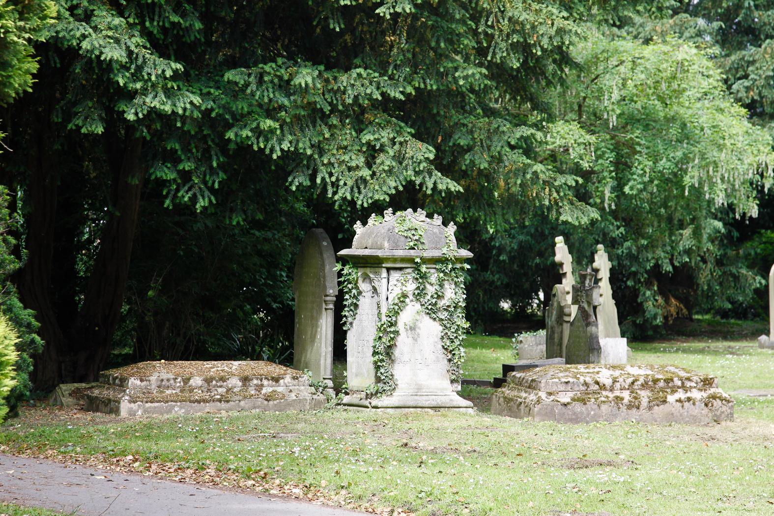 slideshow image