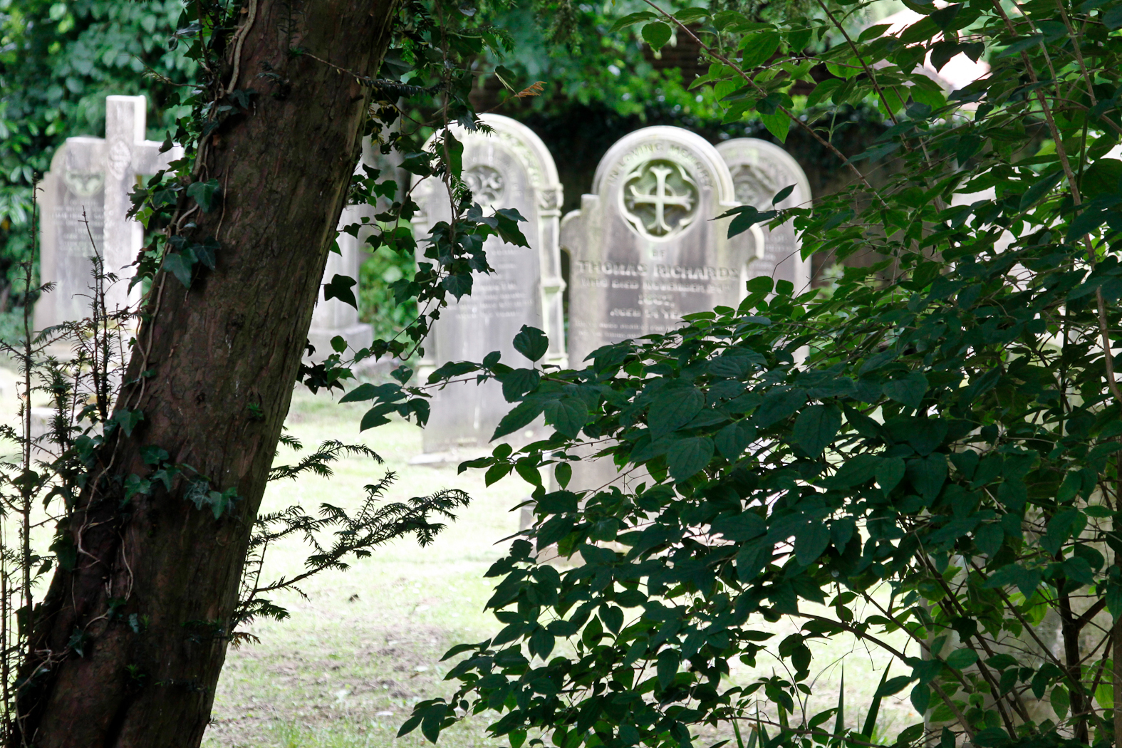 slideshow image