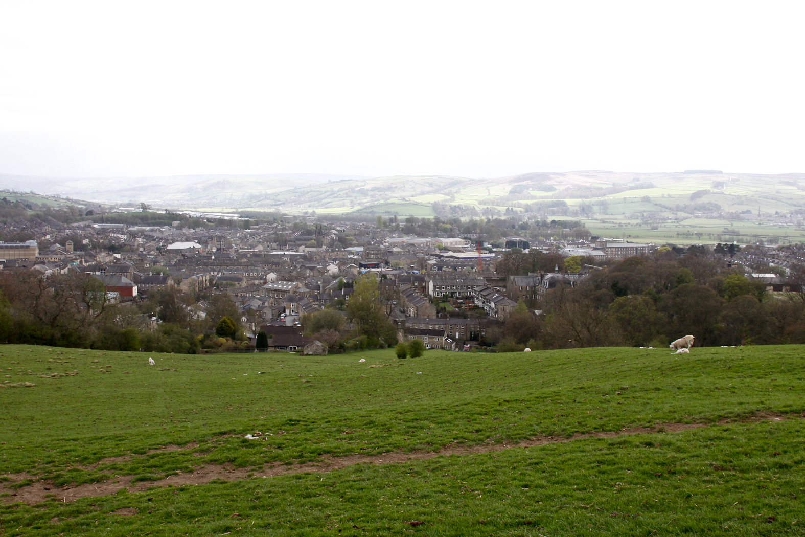 slideshow image
