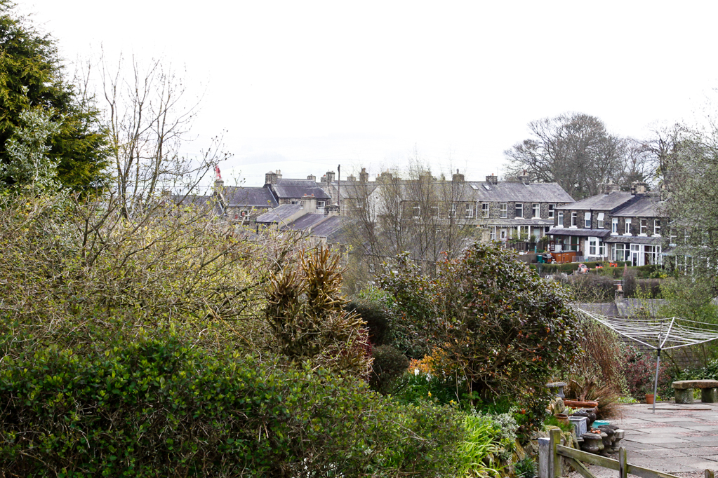 slideshow image