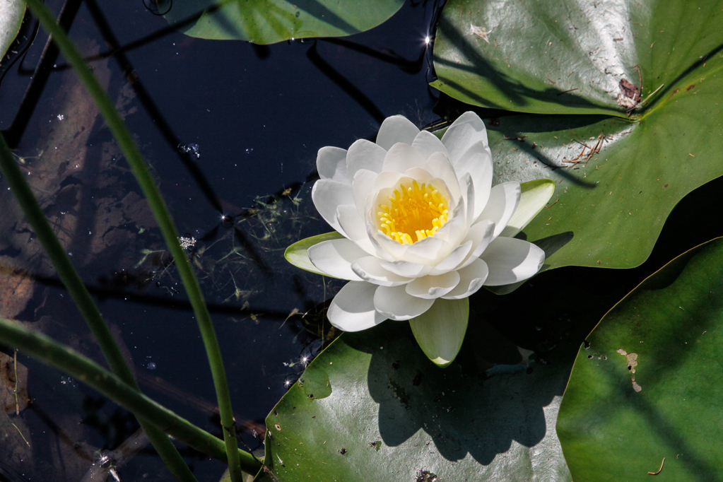 slideshow image