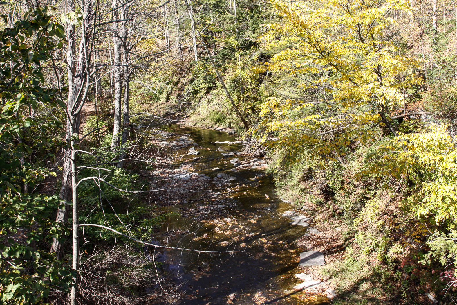 slideshow image