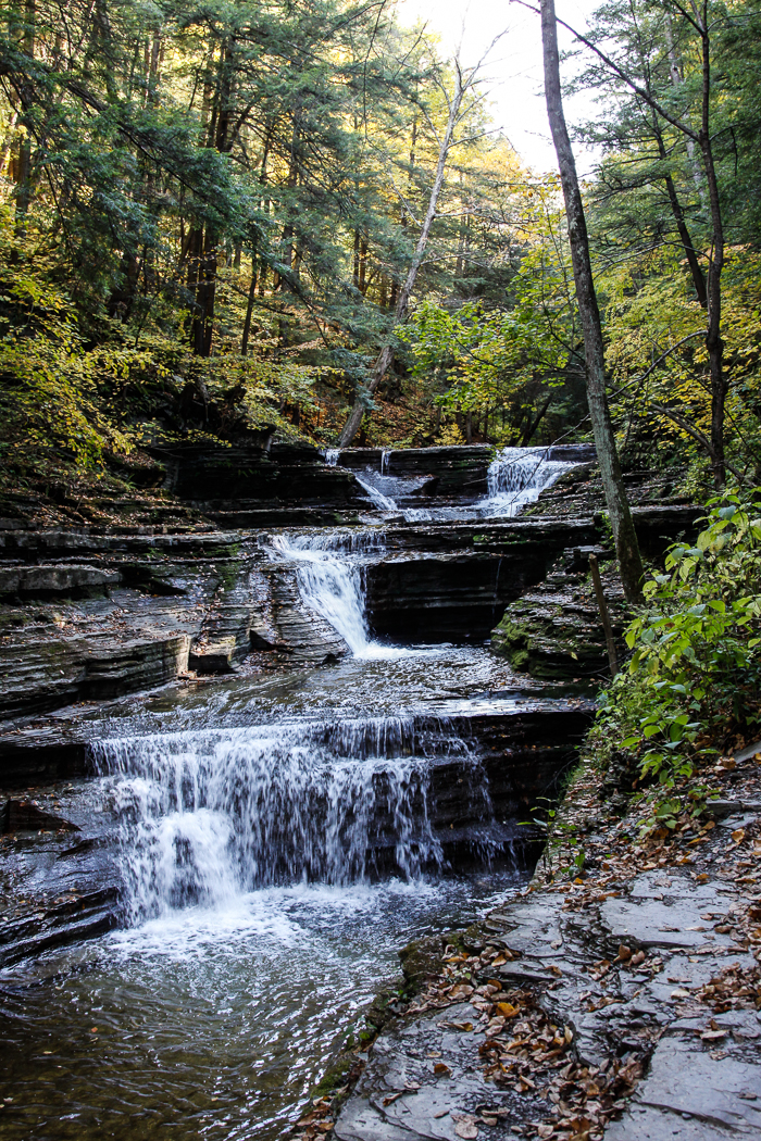 slideshow image